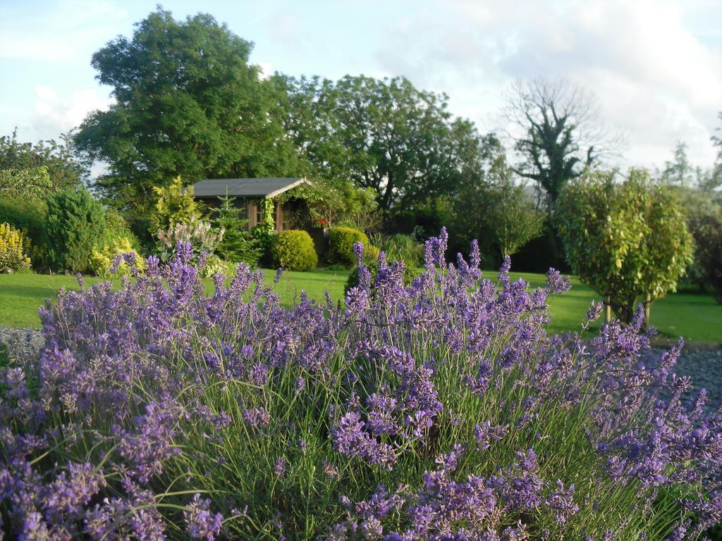 Moor View Bed & Breakfast Ingleton  Room photo